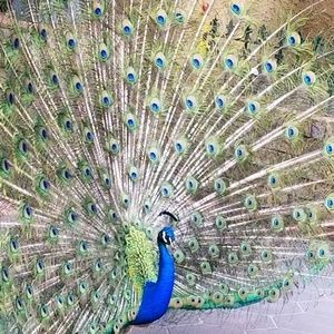 Meet your Posher, Jenn